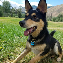 Load image into Gallery viewer, #406 - The Mosey: Black Cherry Wax Buttero, #1 Black Stitching