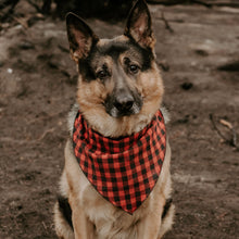 Load image into Gallery viewer, #600 The Garth: Olive Pueblo Leather, #0 Olive Stitching