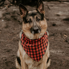 Load image into Gallery viewer, #601 The Garth: Wild Cherry Crazy Horse Leather, #0 Brown Stitching